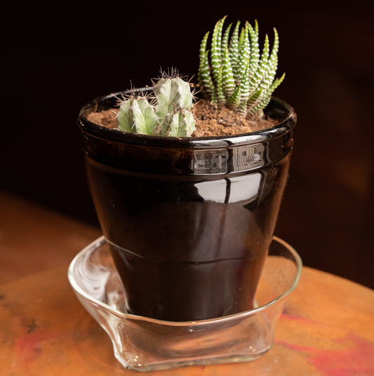 Recycled Glass Plant Pot