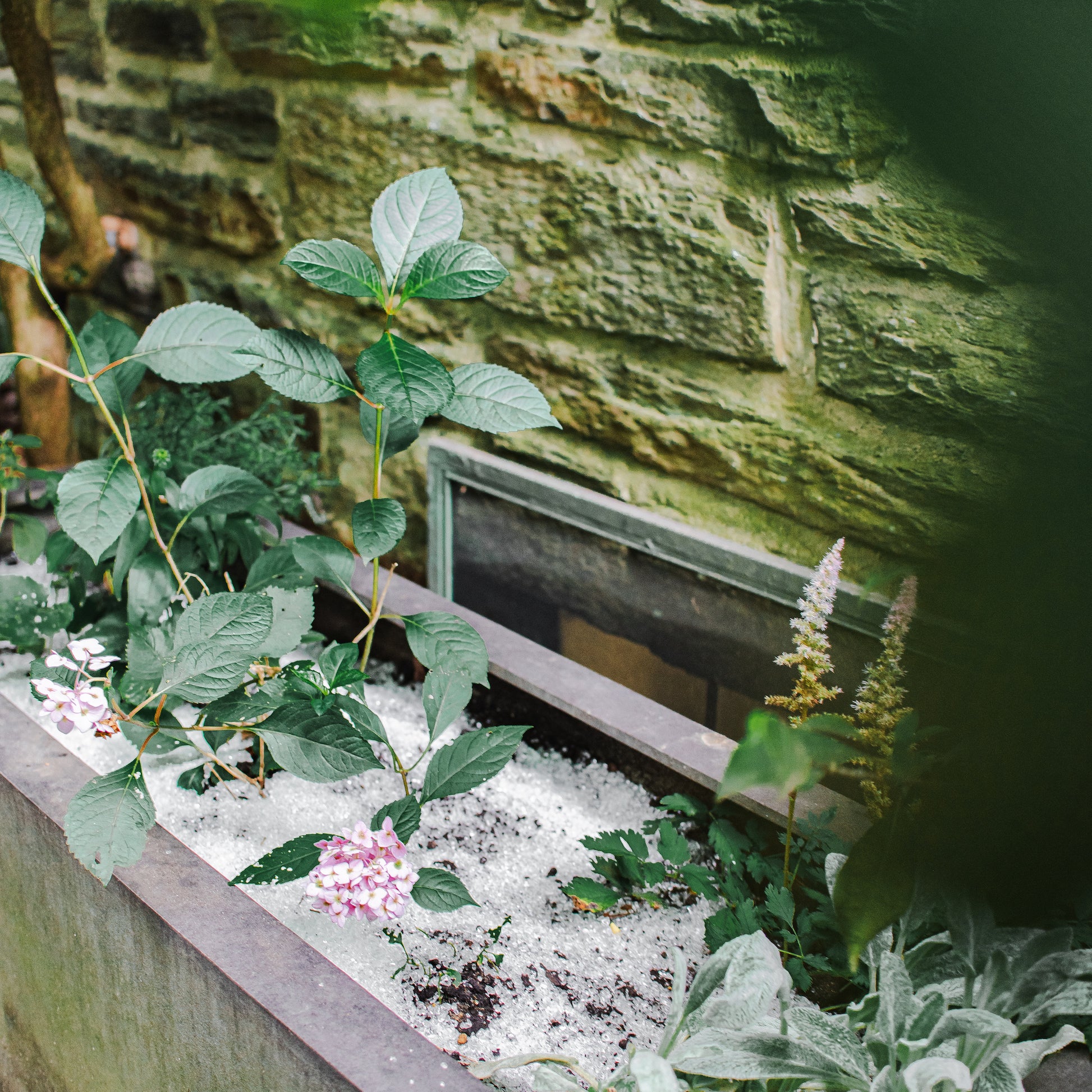 white glass sand inside planter