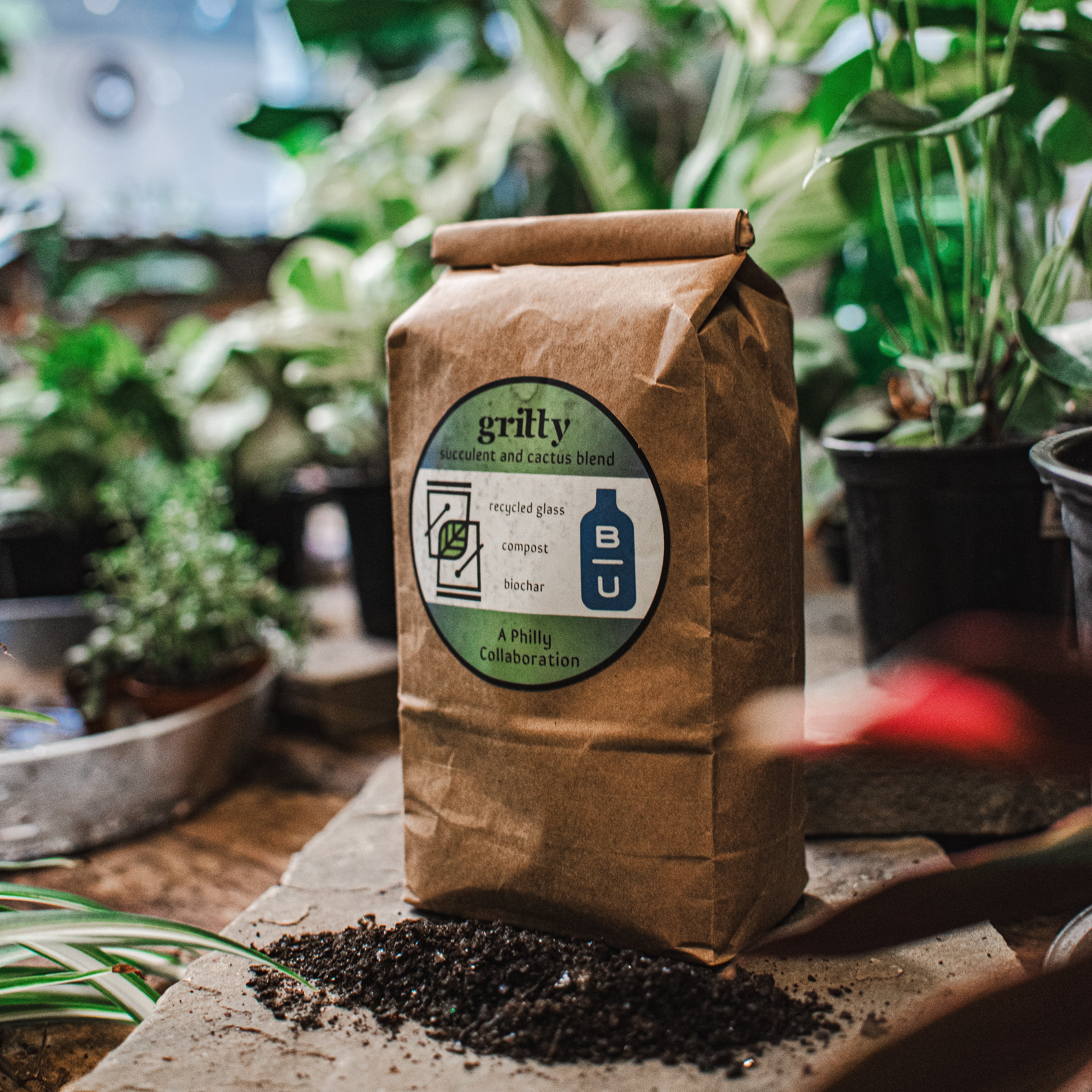 succulent gritty mix Gritty Cactus and Succulent Blend (2 quart bag)