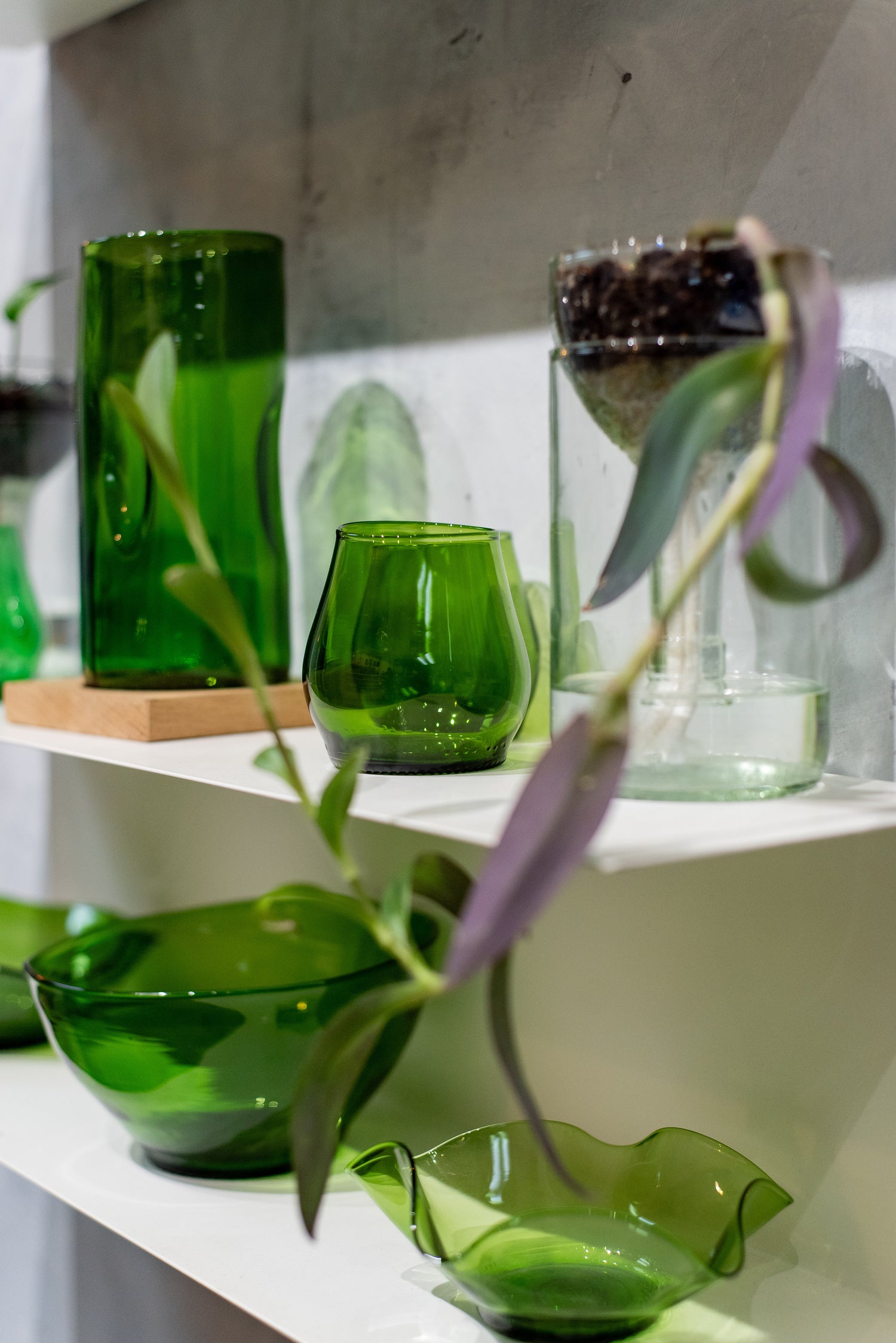 recycled glassware, green cups and bowls with plants inside
