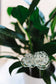 recycled glass rose with green plants