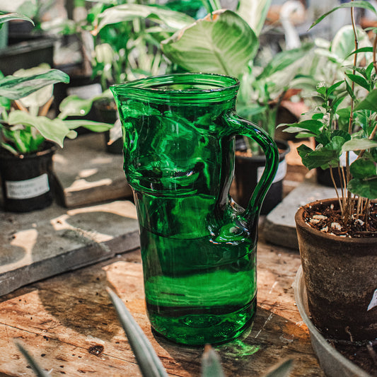 green recycled glass pitcher surrounded by plants