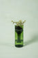 emerald self-watering planter made from recycled glass with plant propogating