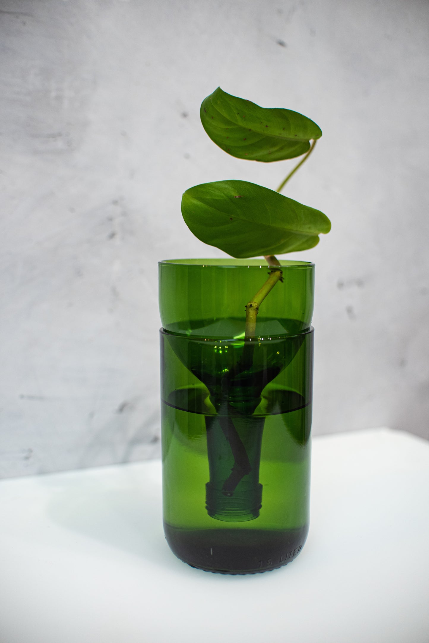 Self-watering Planter