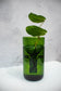 Self-watering Planter