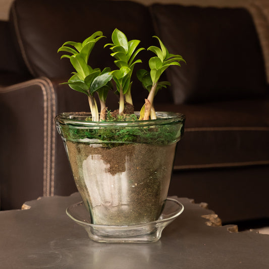 Large Recycled Glass Plant Pot