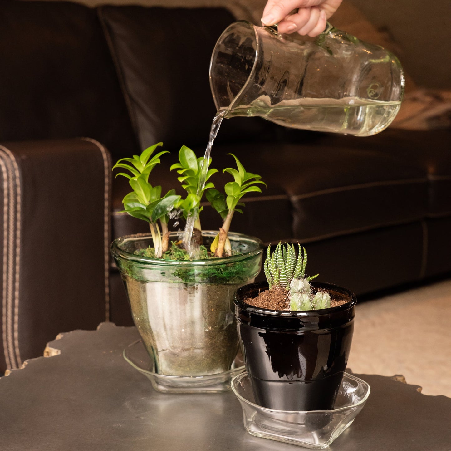Plant Drip Tray