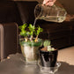Plant Drip Tray