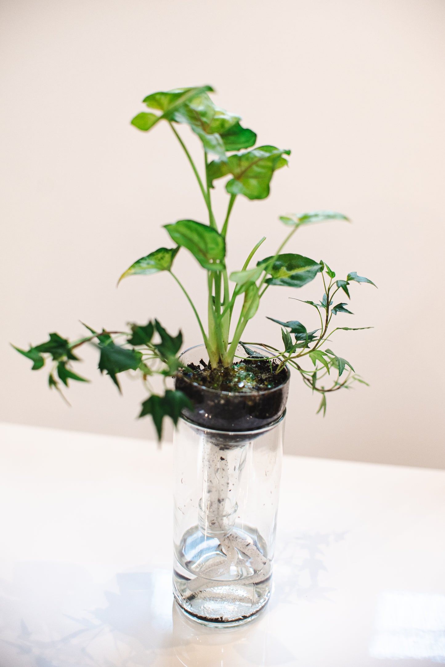 Self-watering Planter