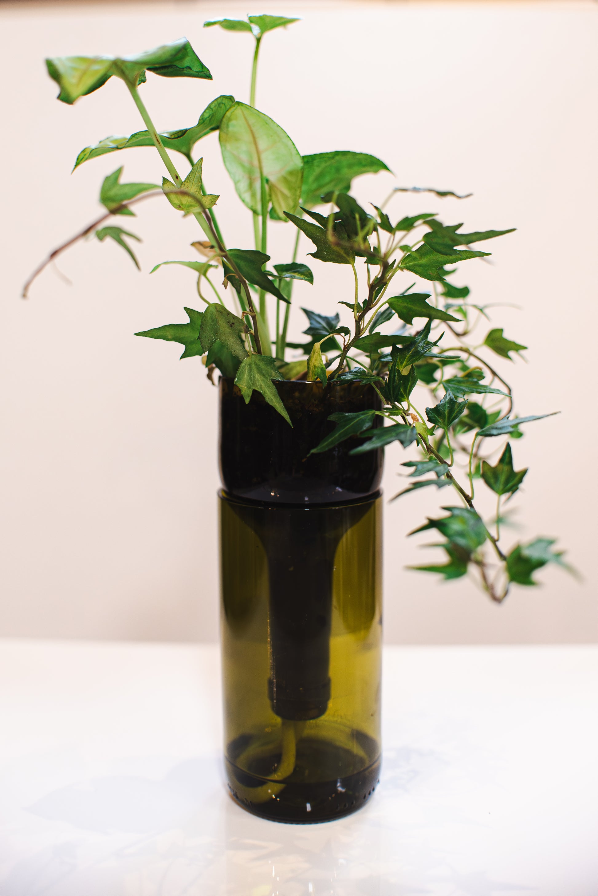 self watering pop bottle planter Self-watering Planter Made From Recycled Glass – Remark Glass
