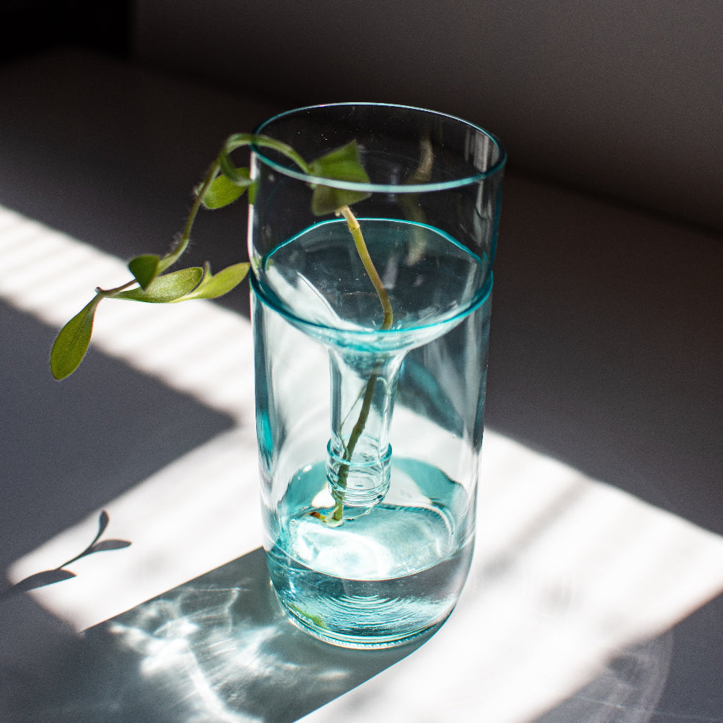 A self-watering planter made from a recycled aqua glass bottle, containing  a young plant. The planter is placed on a windowsill with sunlight shining through