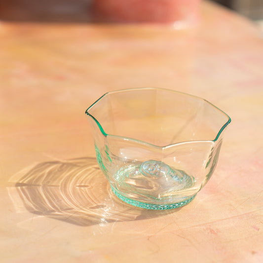 aqua tint snack bowl