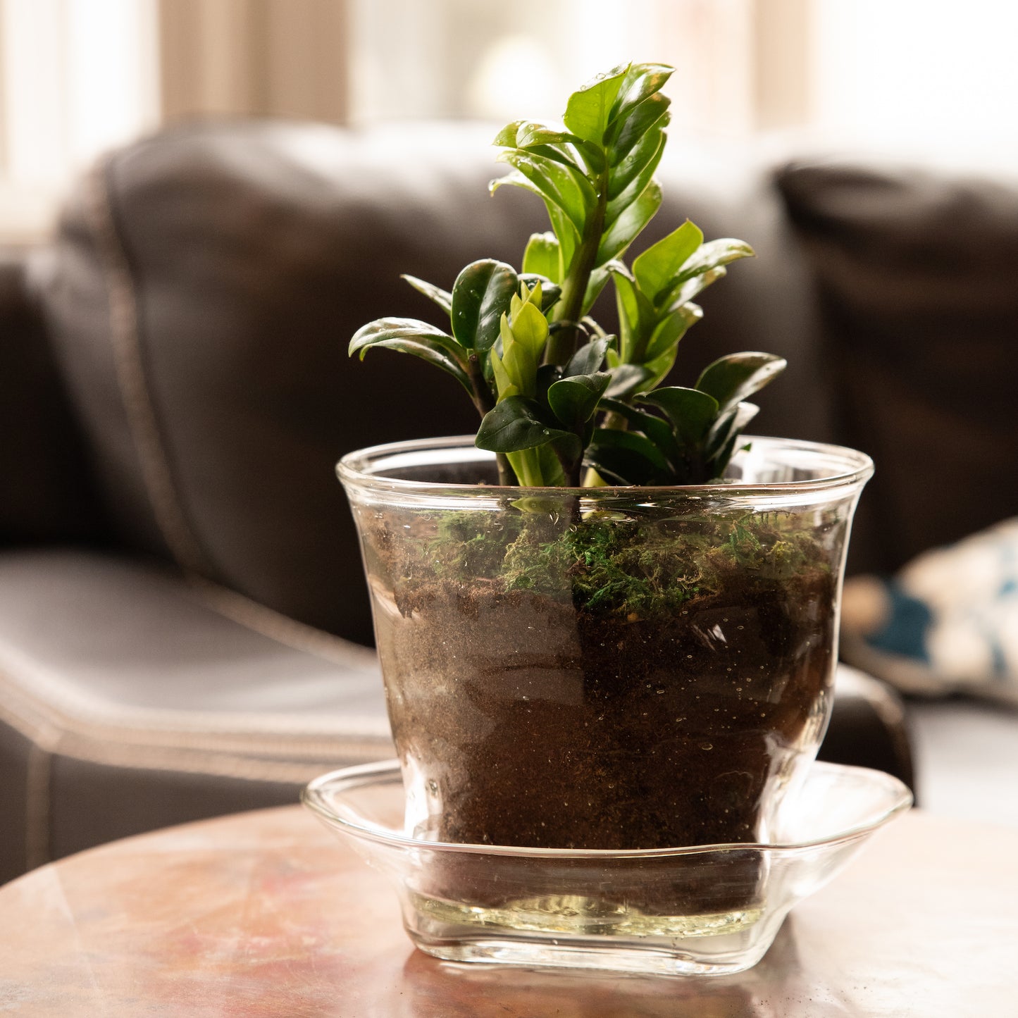 Recycled Glass Plant Pot