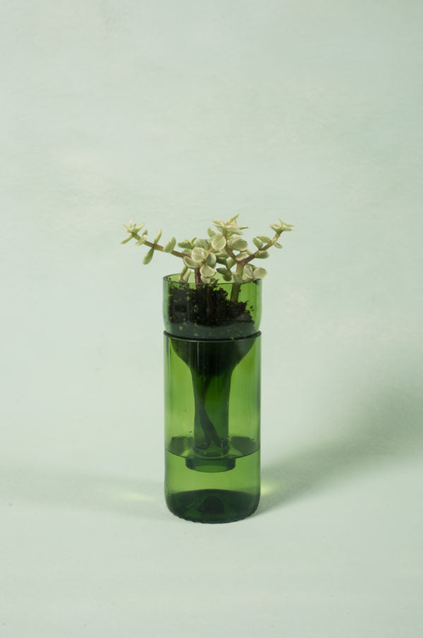 self watering planter bottle Self-watering Planter Made From Recycled Glass Aqua / XL