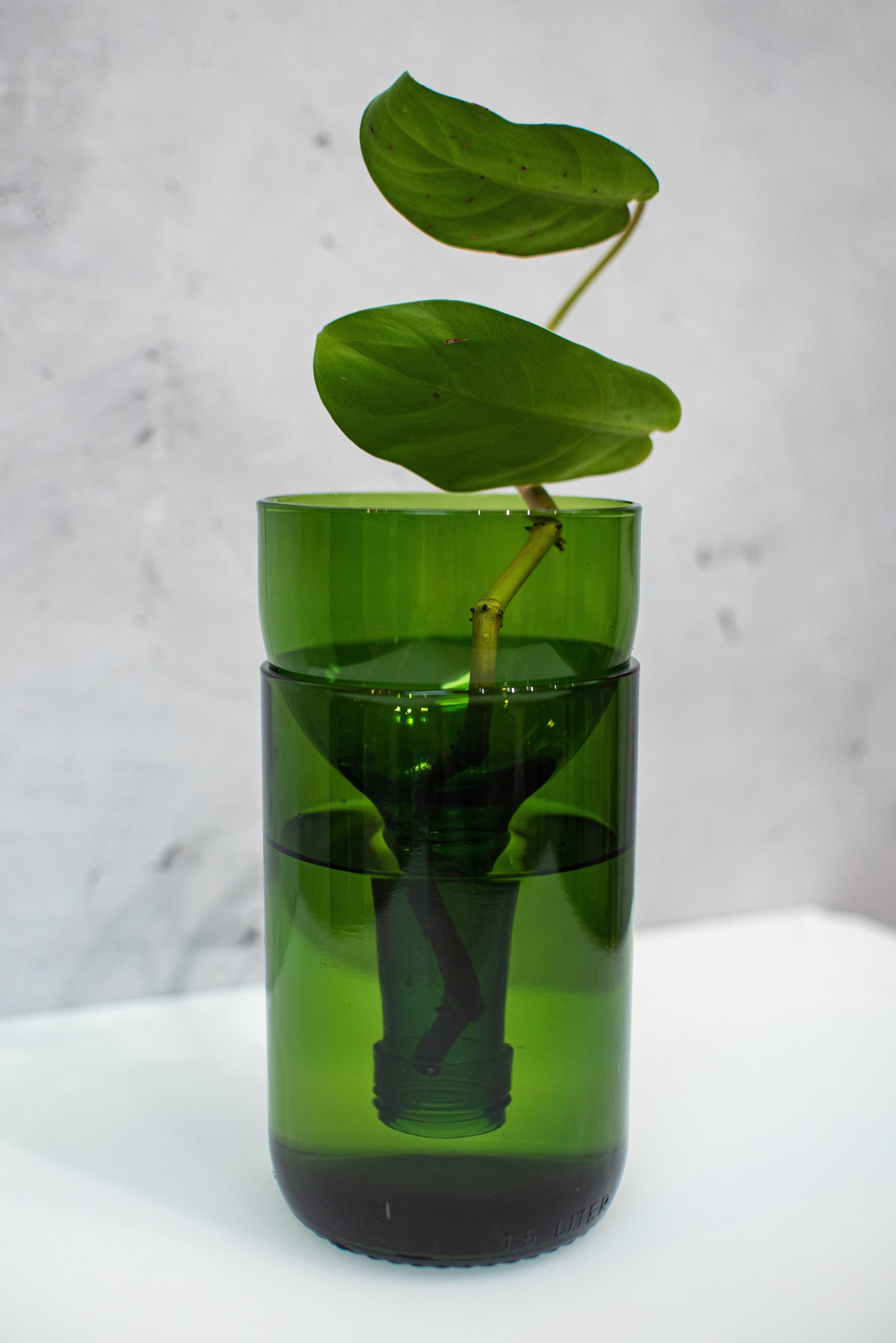 green glass plant pot Self-watering Planter Made From Recycled Glass Aqua / XL